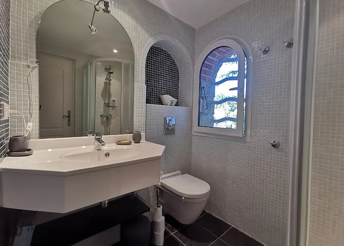 Villa : 4 Chambres, Piscine Privee Et Climatisation - Fr-1-803-76 Le Lavandou